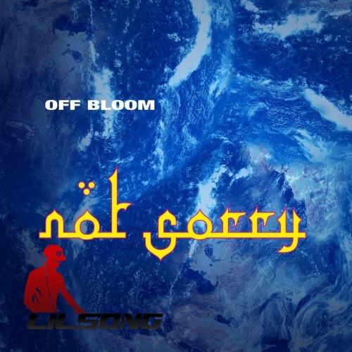 Off Bloom - Not Sorry